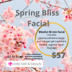 Custom express facial